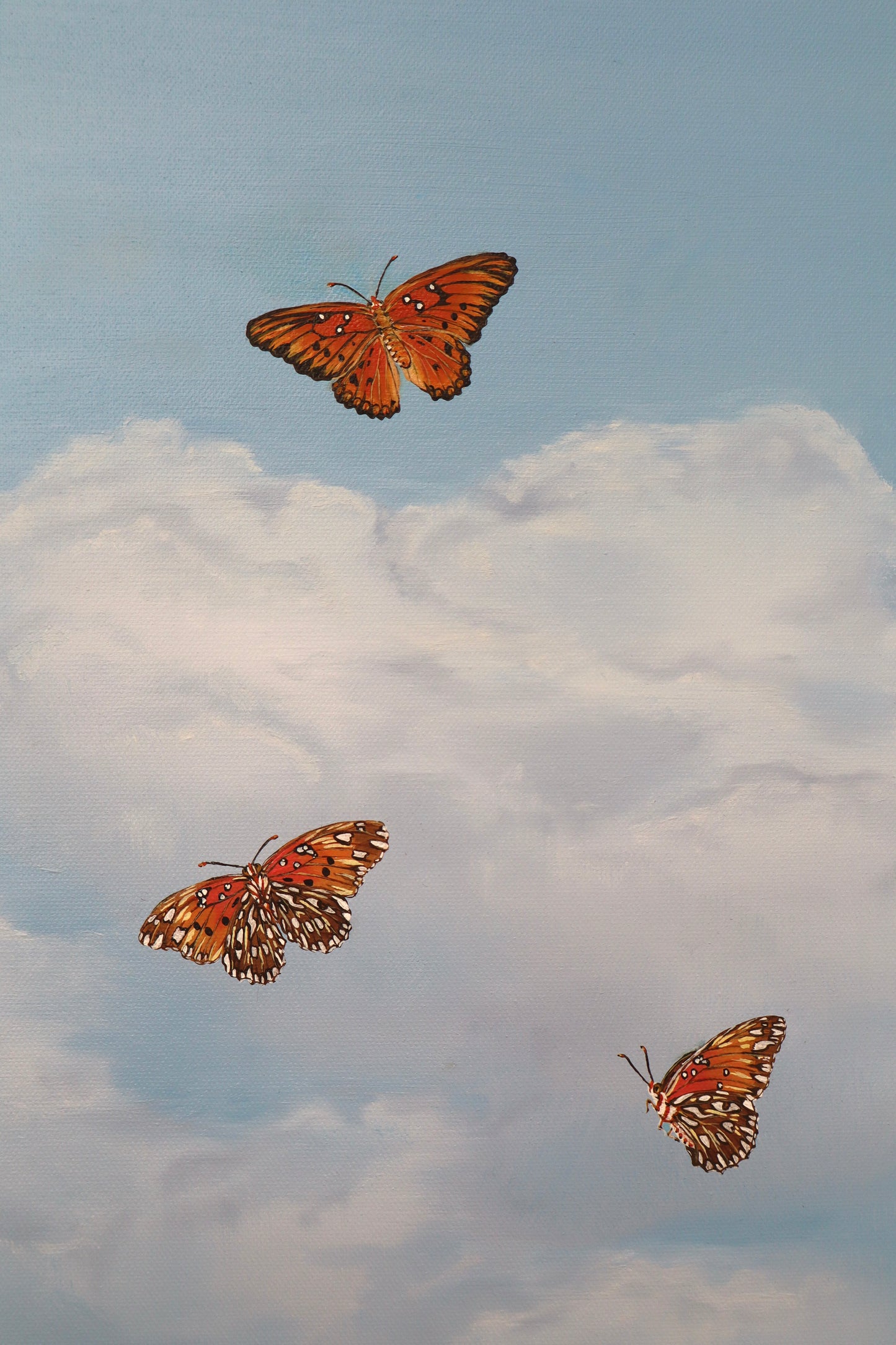 Gulf Fritillaries