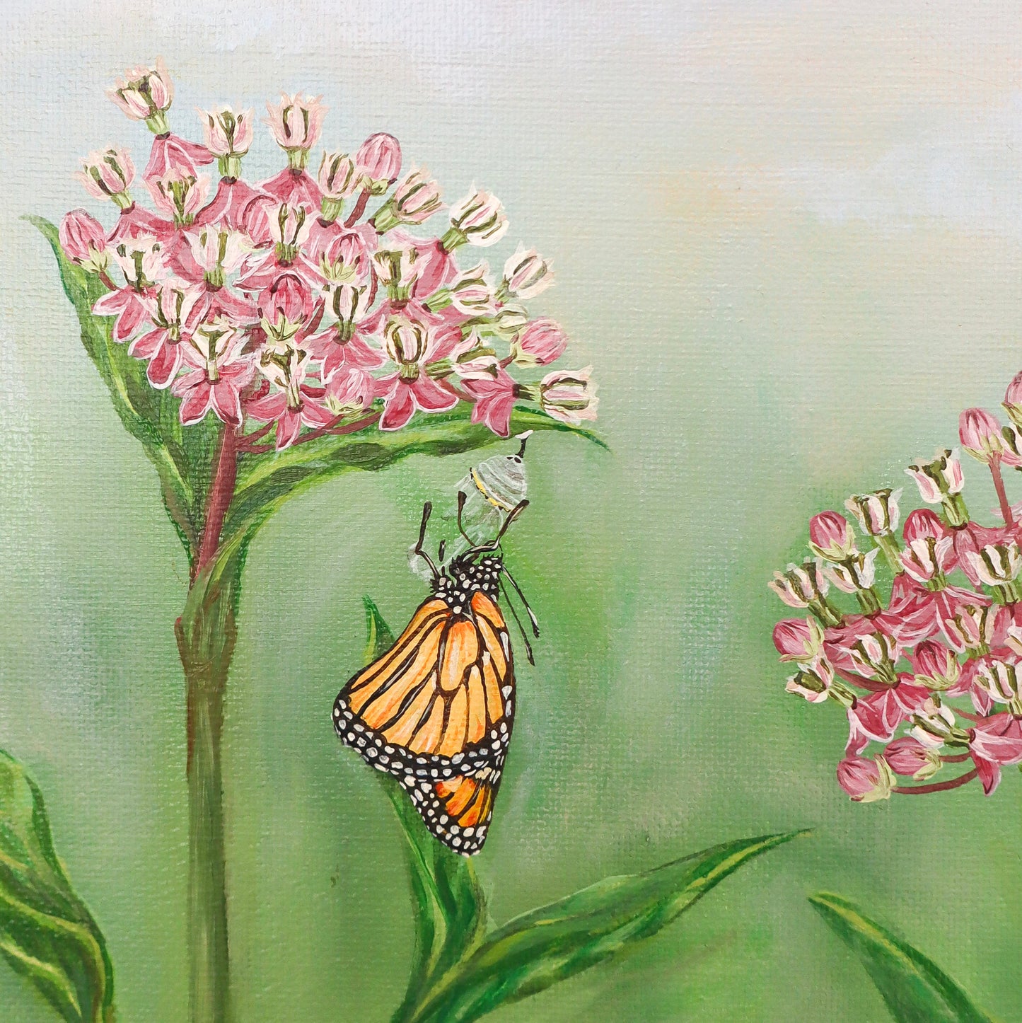 "Monarchs on Milkweed" Fine Art Print