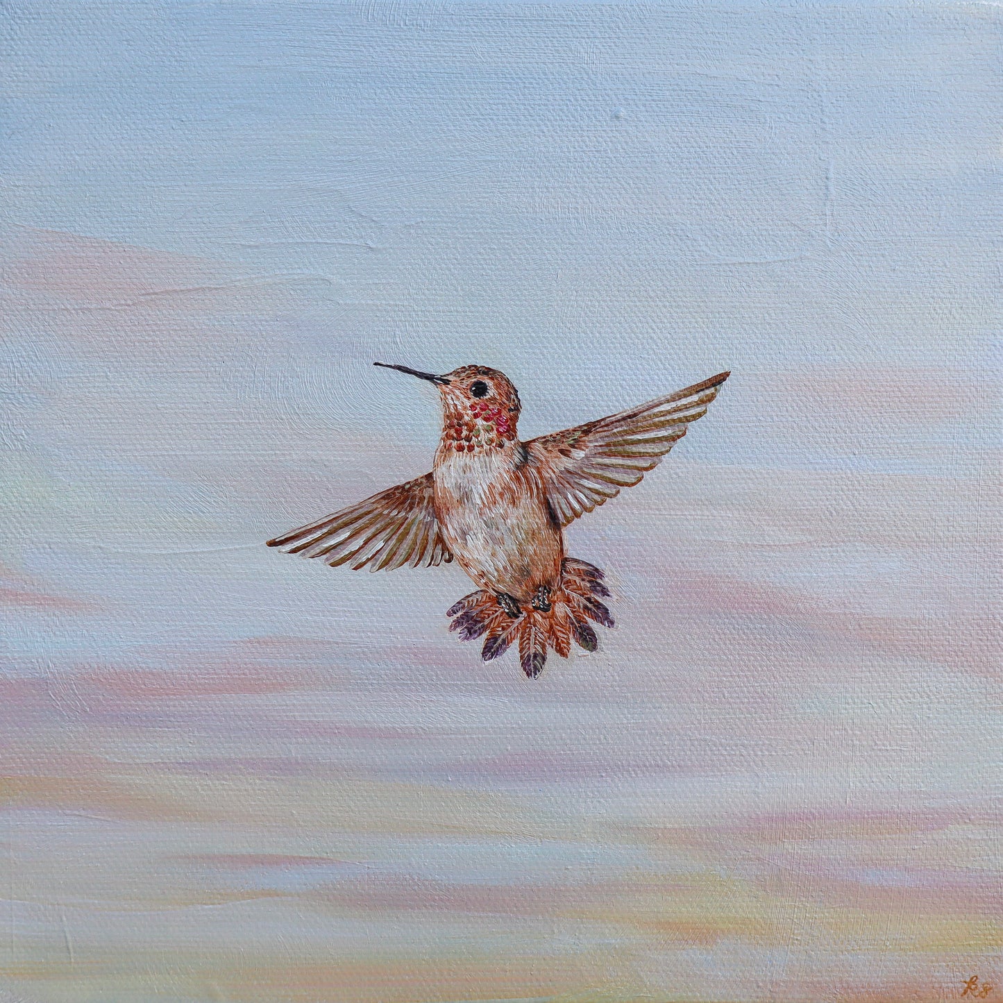 "Rufous Hummingbird at Sunrise" Fine Art Print