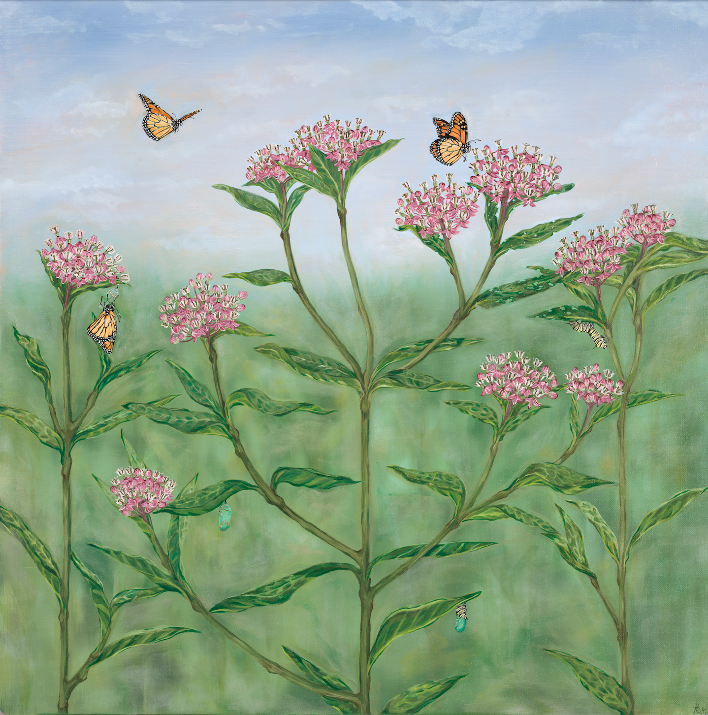 "Monarchs on Milkweed" Fine Art Print