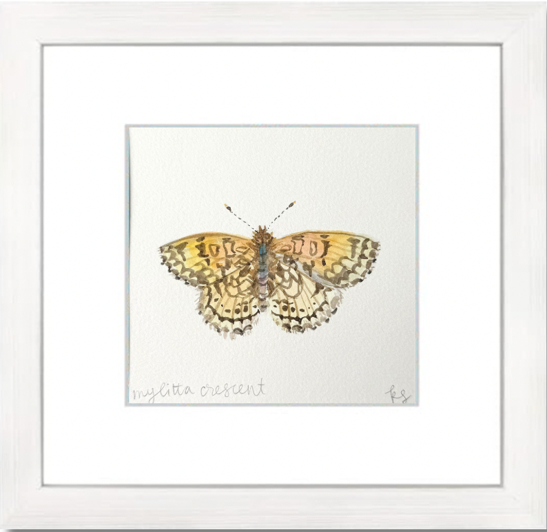 Mylitta Crescent Watercolor (Framed)