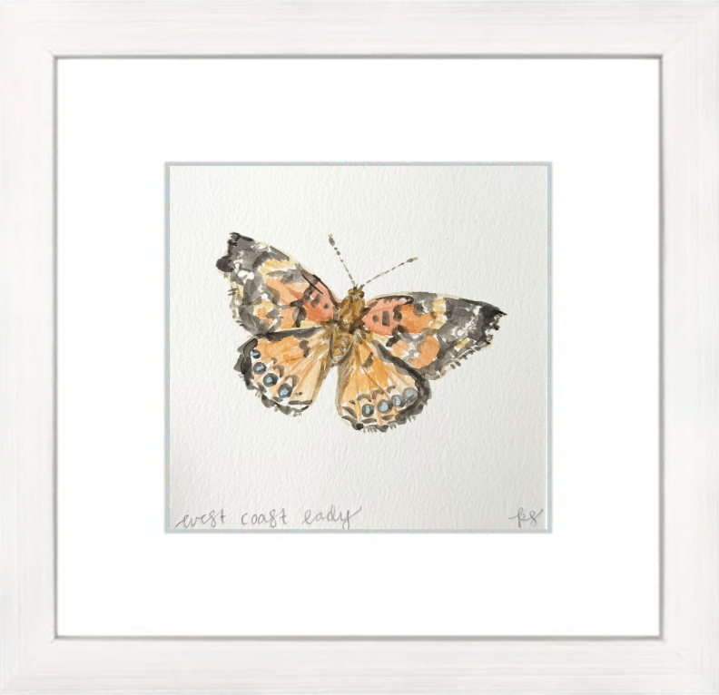 West Coast Lady Watercolor (Framed)