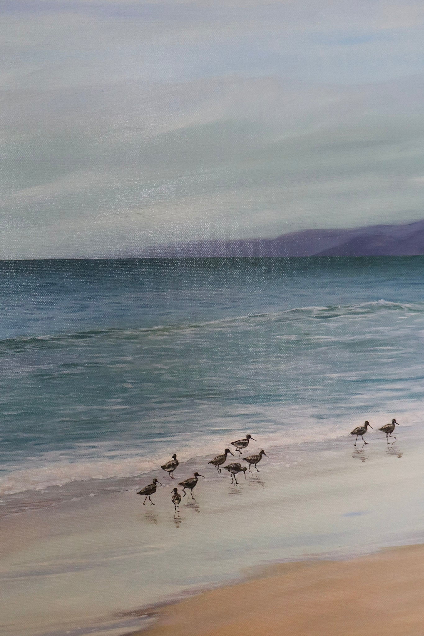Shorebirds