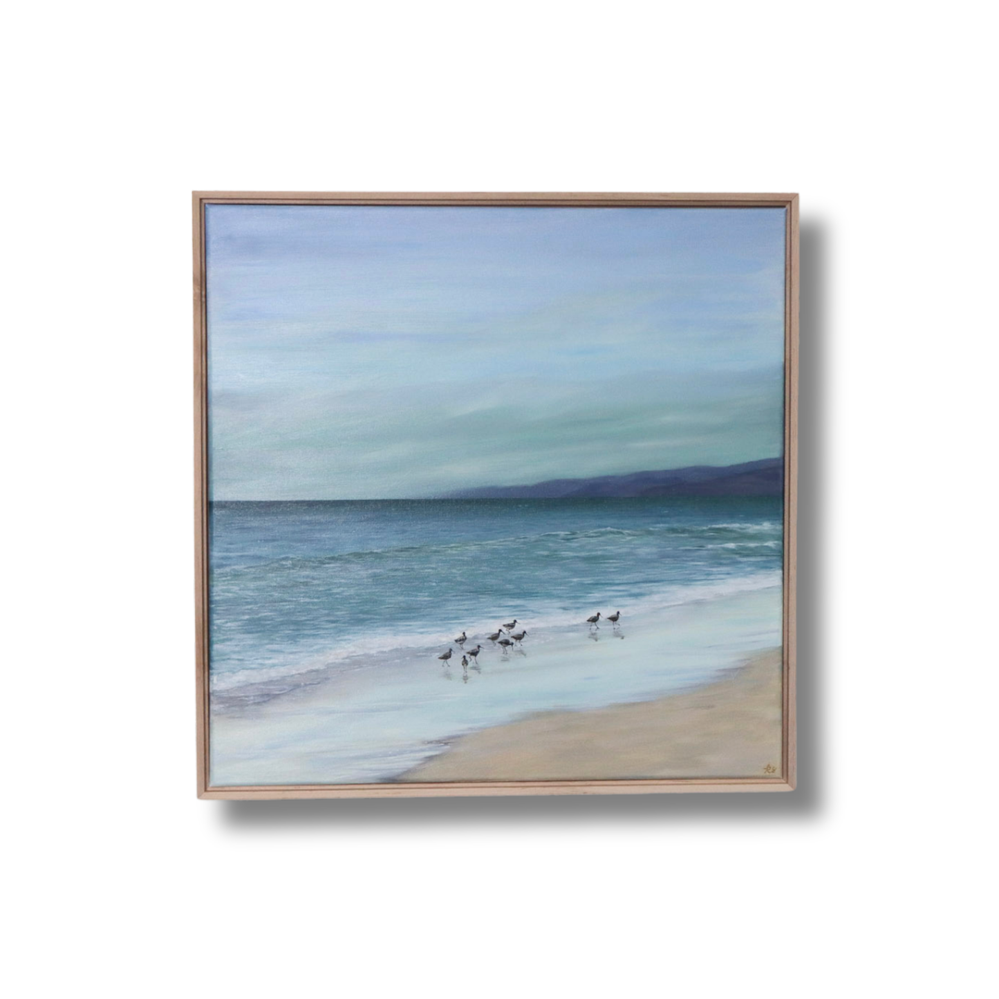 Shorebirds