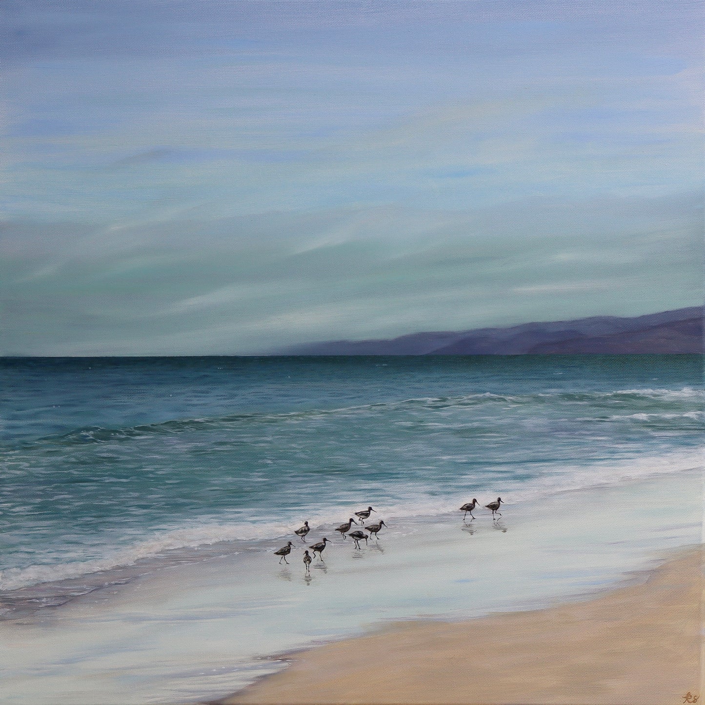 Shorebirds