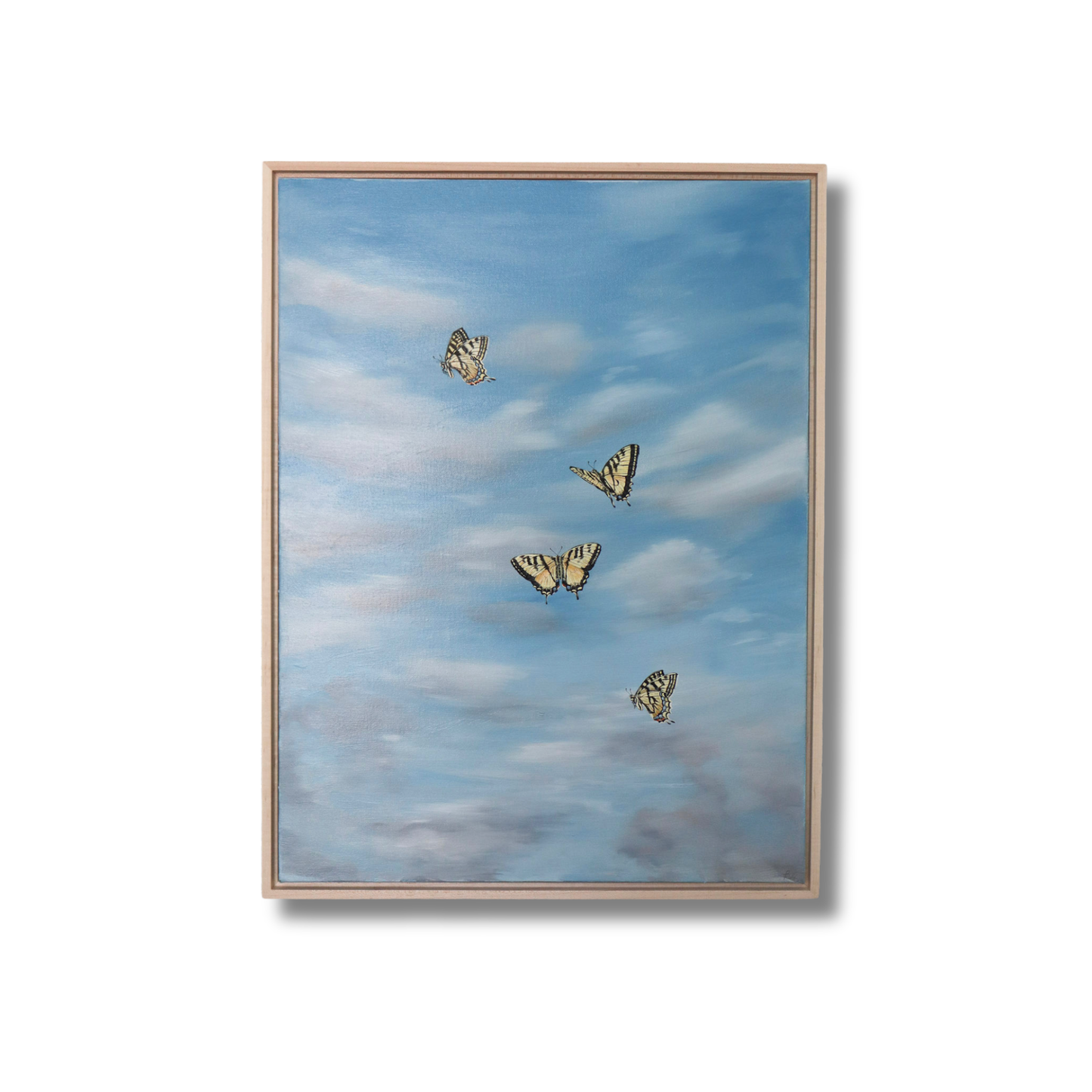 Swallowtails in the Sun