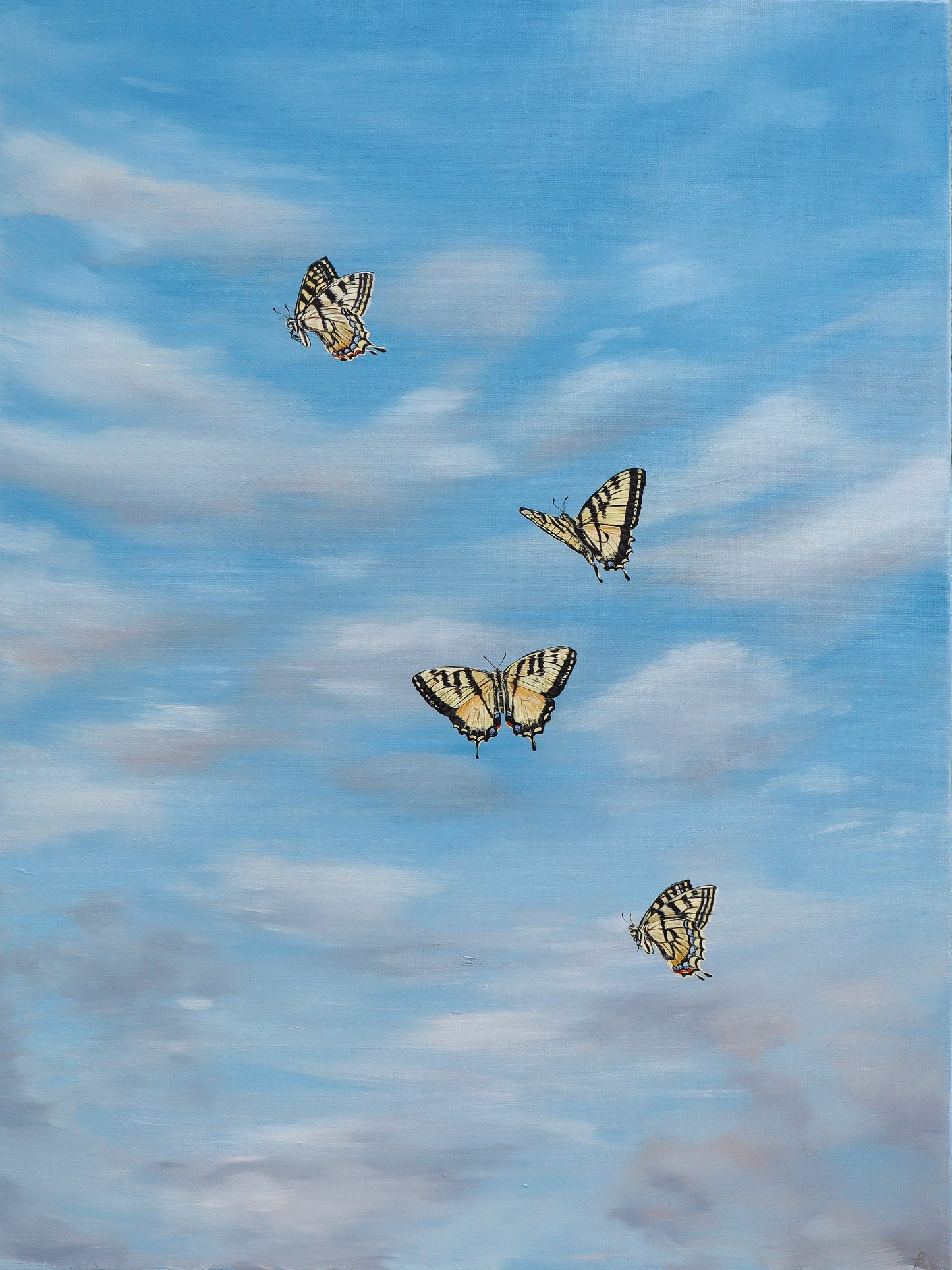 Swallowtails in the Sun