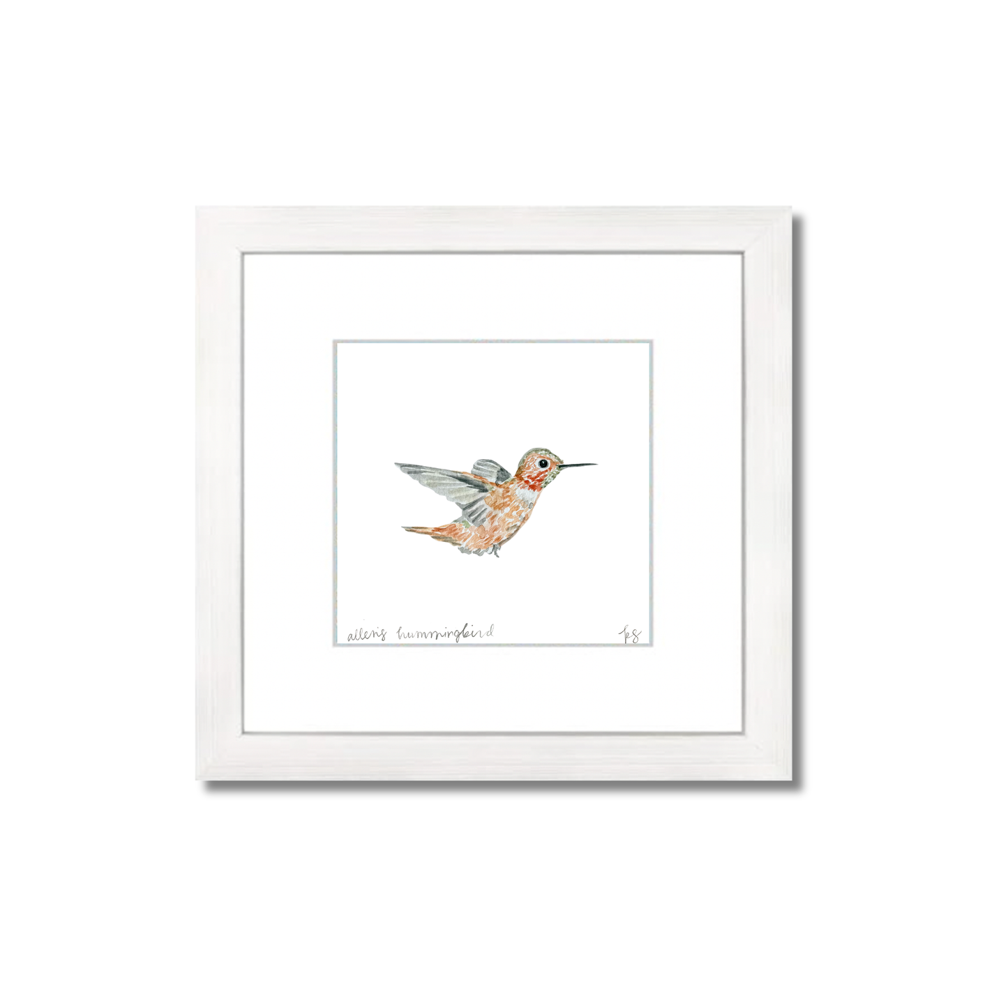 Allen's Hummingbird Watercolor (Framed)