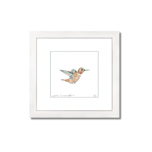 Allen's Hummingbird Watercolor (Framed)
