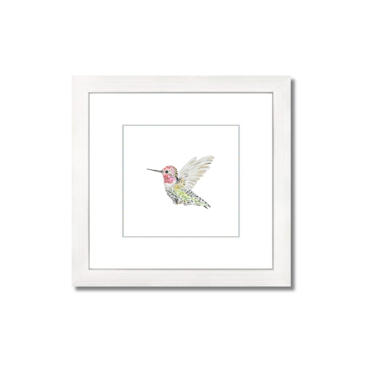 Anna's Hummingbird
