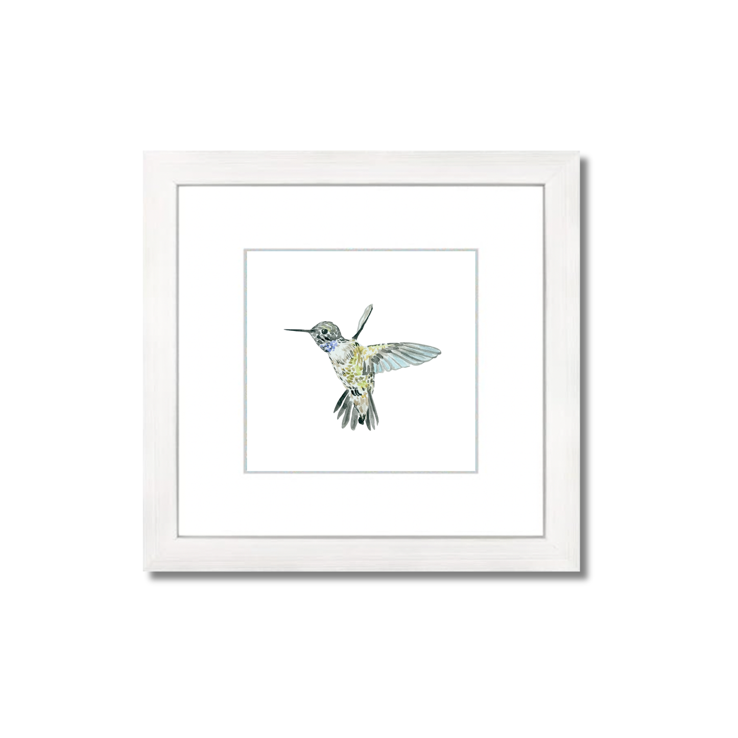 Black-Chinned Hummingbird
