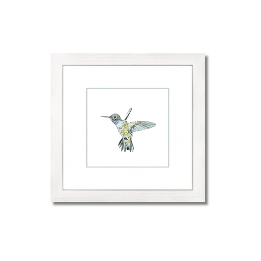 Black-Chinned Hummingbird Watercolor (Framed)