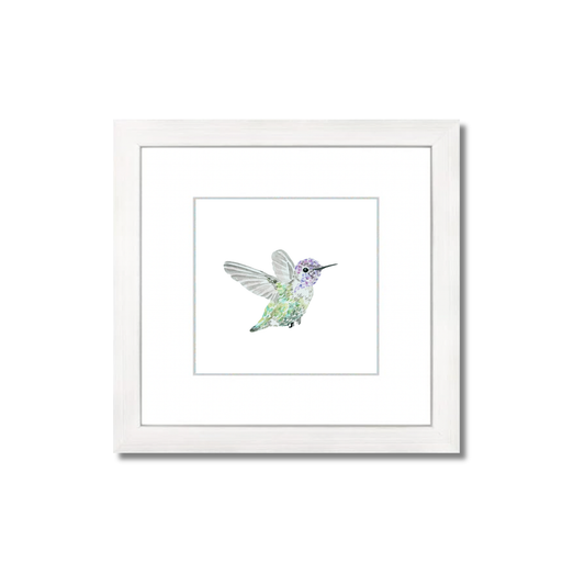 Costas Hummingbird Watercolor (Framed)