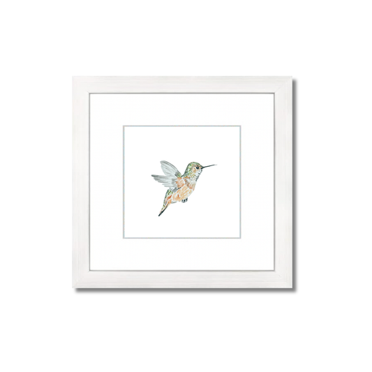Rufous Hummingbird Watercolor (Framed)